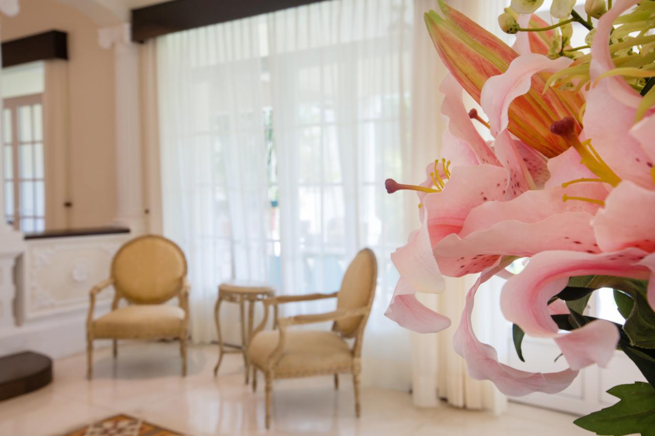Delfina Boutique Hotel Mérida Zewnętrze zdjęcie
