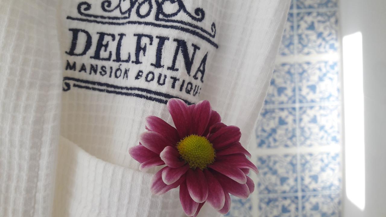 Delfina Boutique Hotel Mérida Zewnętrze zdjęcie